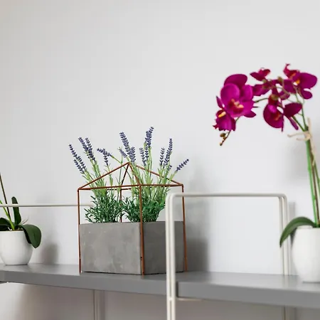 Bay View Gardens By Trulycyprus Апартаменты